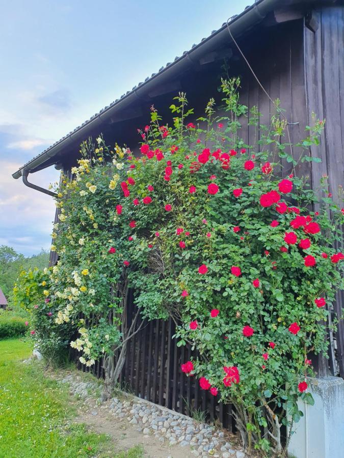 Charmantes Ferienhaus In Bester Lage Keutschach am See Esterno foto